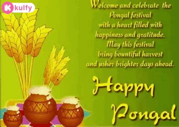 Happy Pongal Wishes.Gif GIF - Happy pongal wishes Happy pongal Pongal ...