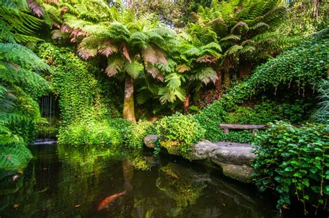 Trebah Garden - The Great Gardens of Cornwall