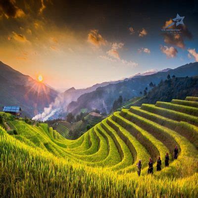 Explore amazing Mu Cang Chai rice terraces & more in 3 days from Hanoi