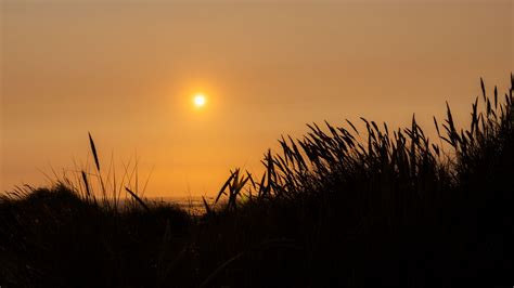 Wallpaper grass, sea, silhouettes, sun, dark, nature hd, picture, image