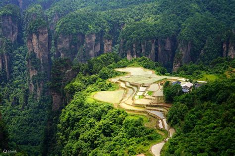 Zhangjiajie National Forest Park Tickets - Klook