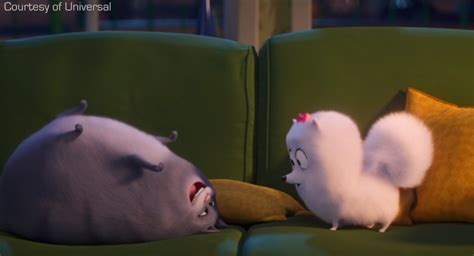 Gidget and Chloe The Secret Life Of Pets 2 by TheSecretLifeOfPets1 on ...