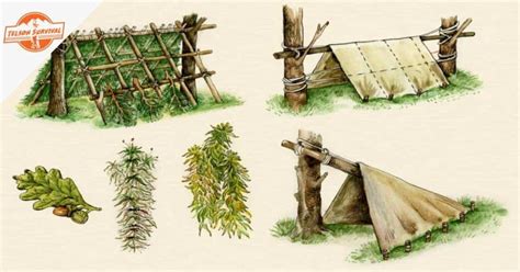 How to Build Shelter in the Wilderness (11 Types of Shelter Explained ...