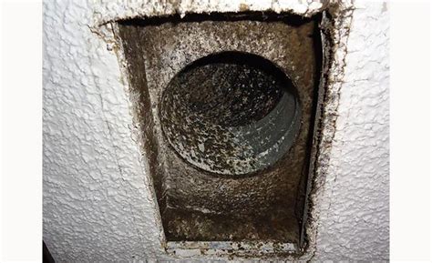 HVAC Contractors Prefer to Tackle Mold Via Partnerships | 2017-04-24 ...