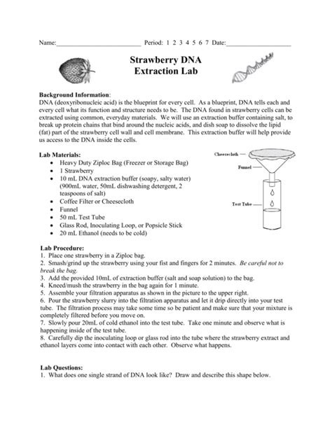 Strawberry DNA Extraction Lab