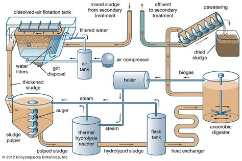 Thermal hydrolysis | chemistry | Britannica