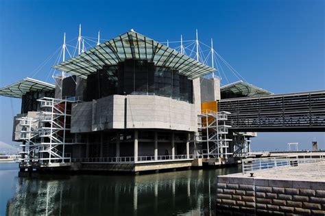 Lisbon Oceanarium [explored] | The Lisbon Oceanarium (Portug… | Flickr