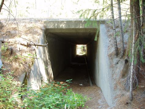 Road Ecology Center - Wildlife Crossing Structures