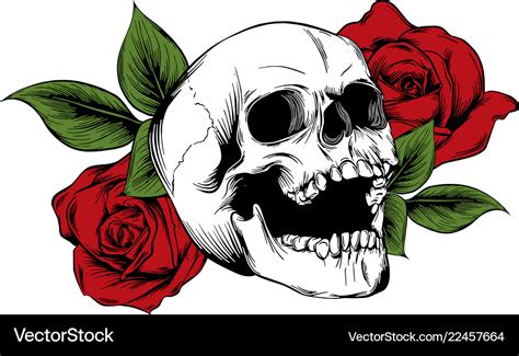 Skull with flowers with roses drawing by hand Vector Image