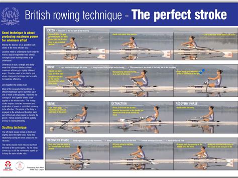 Sculling technique | Rowing technique, Rowing, Techniques