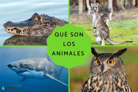 Los Animales