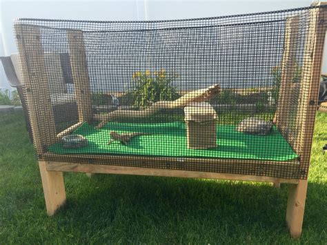 Diy Outdoor Bearded Dragon Enclosure - Alexandra Lakeland