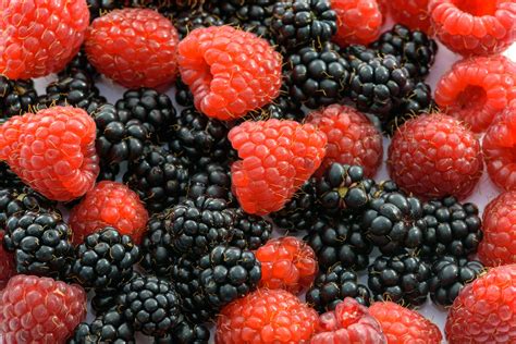 Raspberries · Free Stock Photo