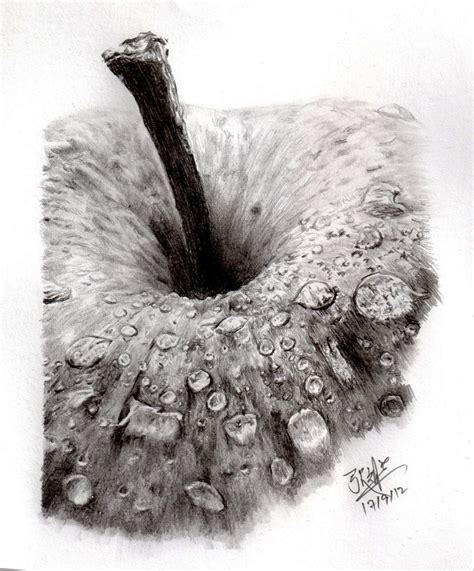 Pencil sketch of an apple by chaseroflight on DeviantArt