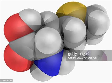 Methionine Structure Photos and Premium High Res Pictures - Getty Images