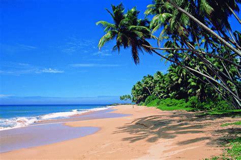 Phoebettmh Travel: (India) – Goa – Great place to go