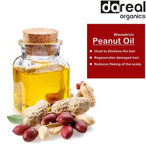 Benefits of Peanut Oil | Peanut oil, Cooking oil, Unsaturated fats