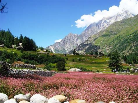 Sangla Weather And Best Time To Visit Sangla (2024)