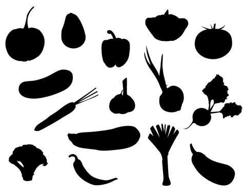 Squash Silhouette Vector Art, Icons, and Graphics for Free Download