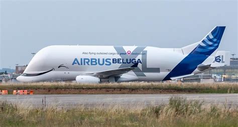 Airbus rolls out sixth and final BelugaXL transport | News | Flight Global