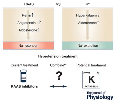 Aldosterone Potassium