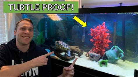 Making a Turtle Proof Tank Decoration - Turtle Aquarium DIY Short Video ...