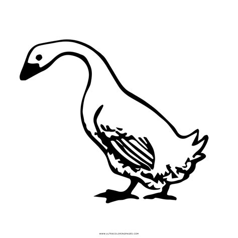 Goose clipart charlotte's web, Goose charlotte's web Transparent FREE ...