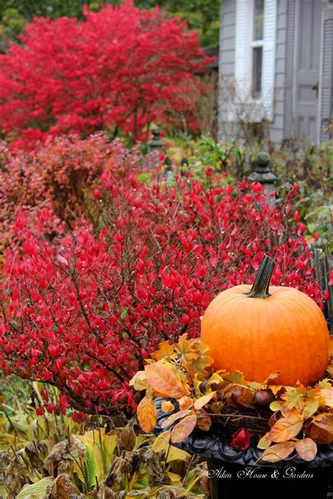 Aiken House & Gardens: Late Autumn Color in our Garden