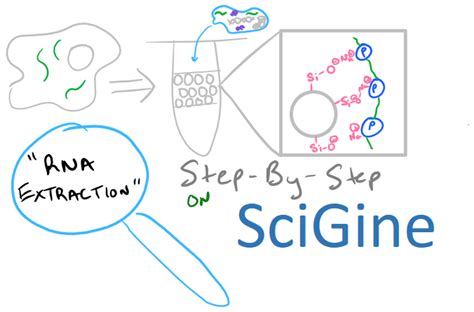 RNA Extraction, Isolation, and Purification by SciGine - SciGine