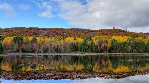 Letterkenny, Ontario - Autumn Colours (OC) (4032 x 2268) : r/EarthPorn