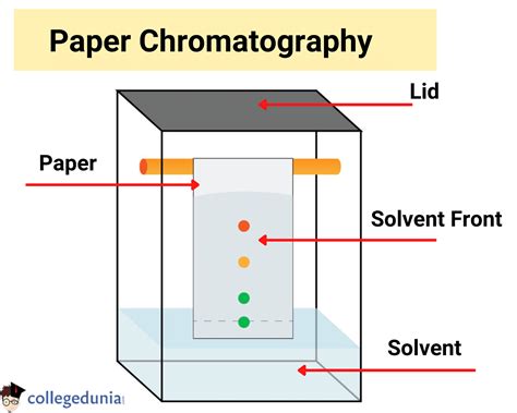 Paper Chromatography Diagram