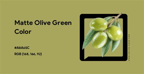 Matte Olive Green color hex code is #A8A65C