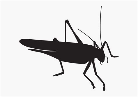 Grasshopper Silhouette , Free Transparent Clipart - ClipartKey