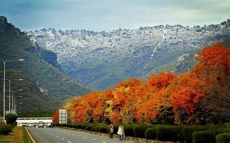 Snowfall in Islamabad: Margalla Hills turn white after a decade ...