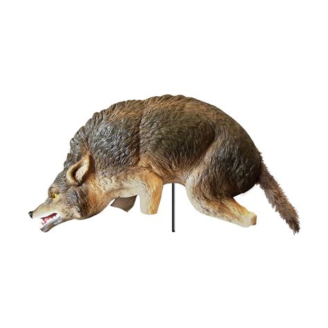 Coyote Decoys | Coyote Decoys for Sale | The Pond Guy