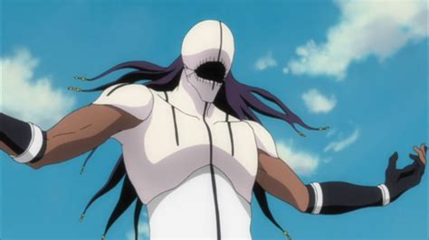 Bleach: Arrancar Arc (Episodes 288 – 297) Review – Hogan Reviews