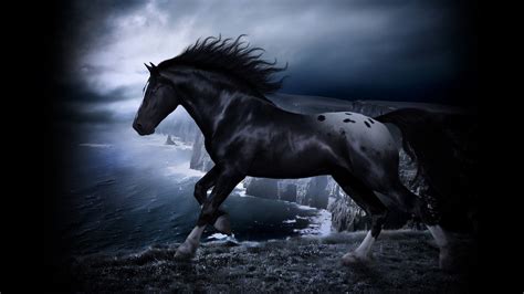 Black Stallion Wallpaper