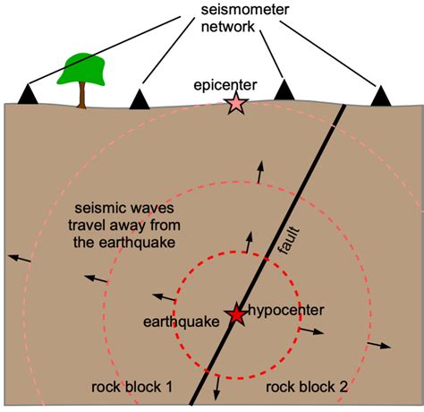 Earthquake Seismograph Waves