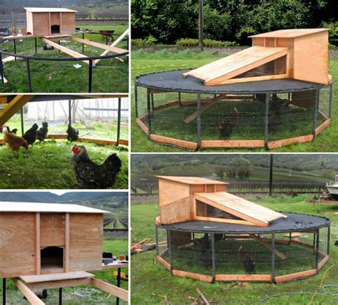 DIY Recycled Chicken Coops from Old Trampoline