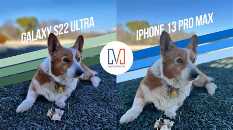 SAMSUNG GALAXY S23 ULTRA VS IPHONE 14 PRO MAX CAMERA TEST – Veh-Ev.info