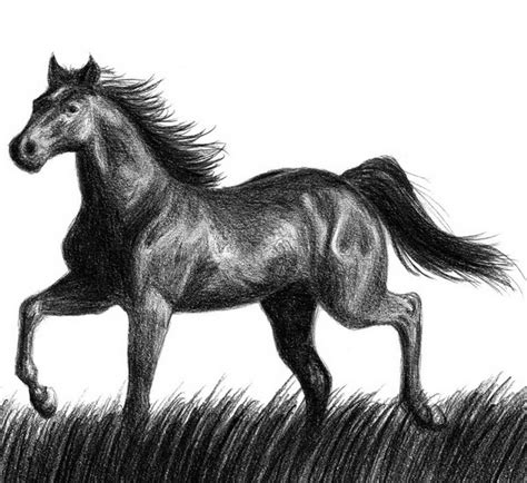 10+ Cool Horse Drawings for Inspiration - Hative