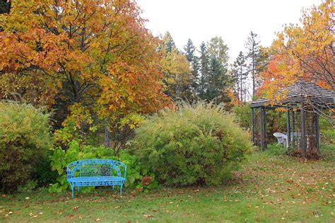 Aiken House & Gardens: Late Autumn Color in our Garden