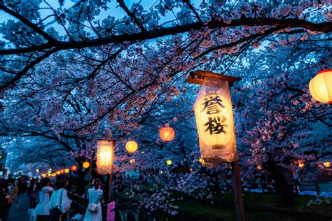 Cherry Blossom Festival Japan History - Tedda Rickie