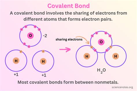 Does N And F Form A Covalent Bond Hotsell | innoem.eng.psu.ac.th