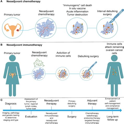 Immunotherapy and ovarian cancer