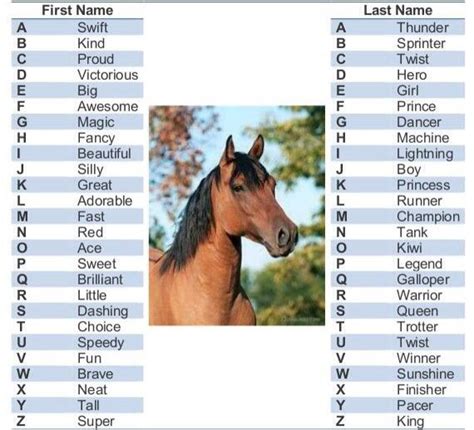 Horse name | Horse names, Horses, Dressage horses