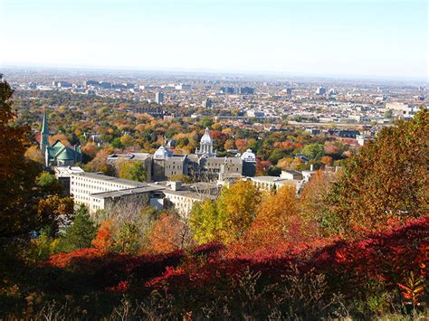 Montréal campus - Université de Montréal