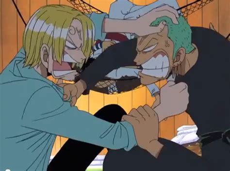 Sanji and Zoro fight by JasonPictures on DeviantArt