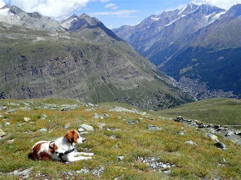 Hiking in Zermatt: 3 Scenic Trails You Don't Want to Miss