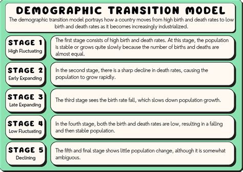 All 5 Demographic Transition Model Stages, Explained (2024)